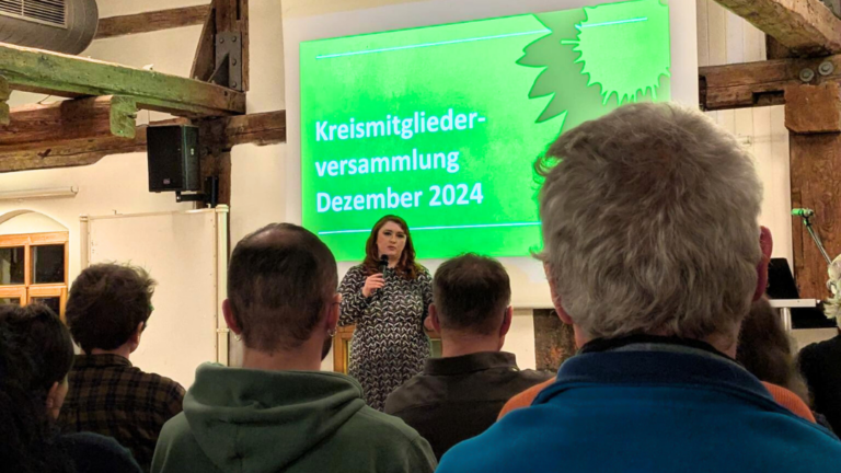 Mit Optimismus und Rückenwind gehen die Grünen im Kreisverband Ravensburg in den kurzen Bundestagswahlkampf.